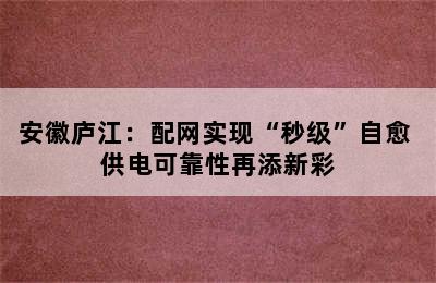 安徽庐江：配网实现“秒级”自愈 供电可靠性再添新彩